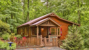 A rustic log cabin with a porch, surrounded by dense forest.