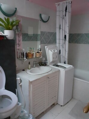 Bathtub, toilet paper - Semi-detached hamlet house with garden and summer spa (Mimet)