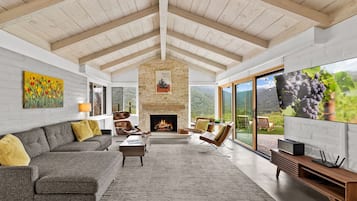 TV, caminetto, videogiochi