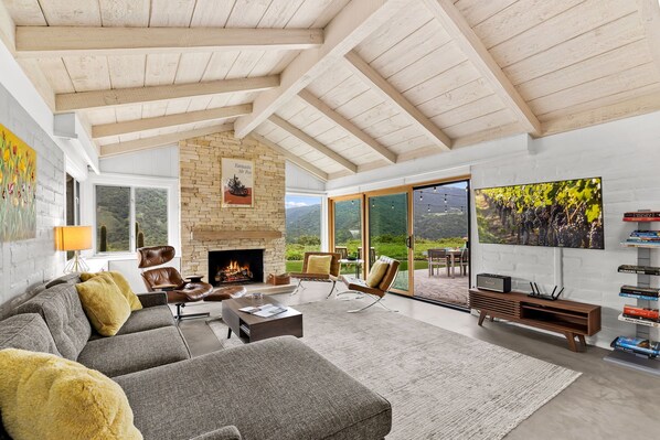 TV, fireplace, video games