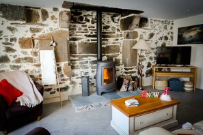 Fernseher, Arbeitsbereiche