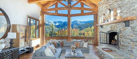 TV connectée, cheminée, jeux vidéo, lecteur de DVD