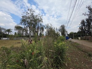 Área da propriedade