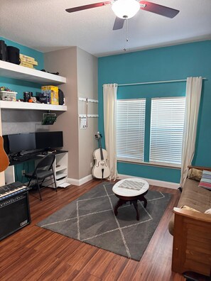 TV, fireplace, offices