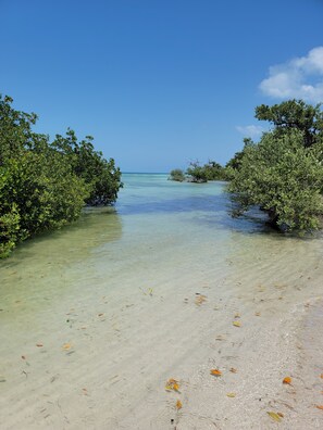 Beach nearby, sun-loungers