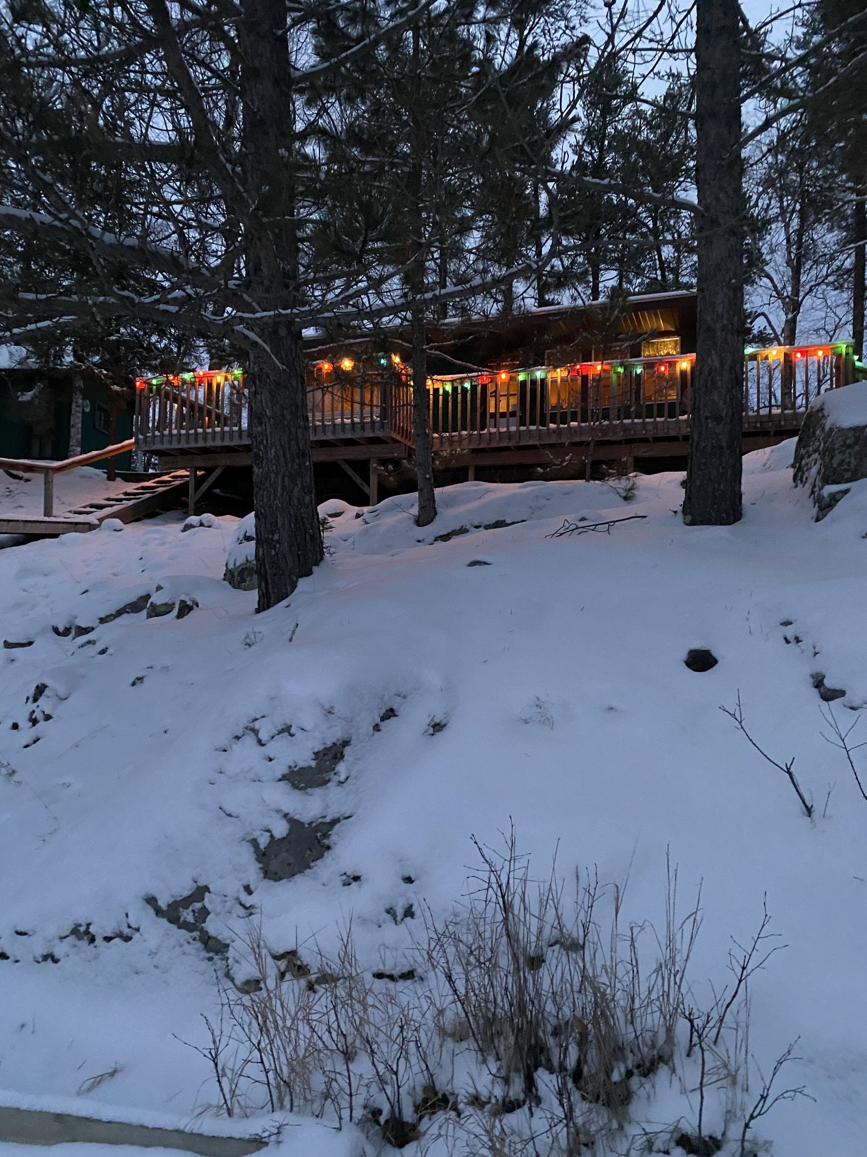 Eksteriør