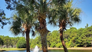 Un'atmosfera tranquilla con vista su un lago, una fontana e rigogliosa vegetazione con palme.