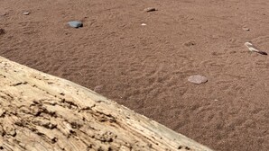 Une plage de sable parsemée de rochers, avec une structure en bois au premier plan.