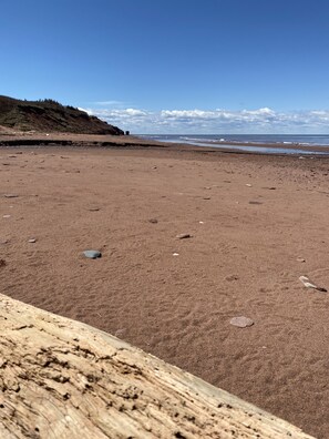 Plage à proximité, chaise longue, serviettes de plage