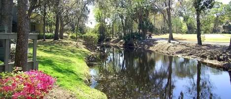 المنطقة المحيطة بالمنشأة