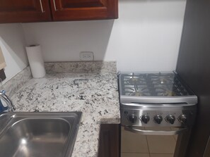 Fridge, oven, stovetop, coffee/tea maker