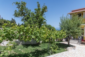 Vista al jardín