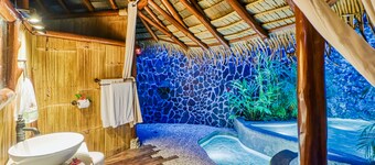 Spectacular beachfront & tropical home with a shared pool, W/D, lanai, hammock