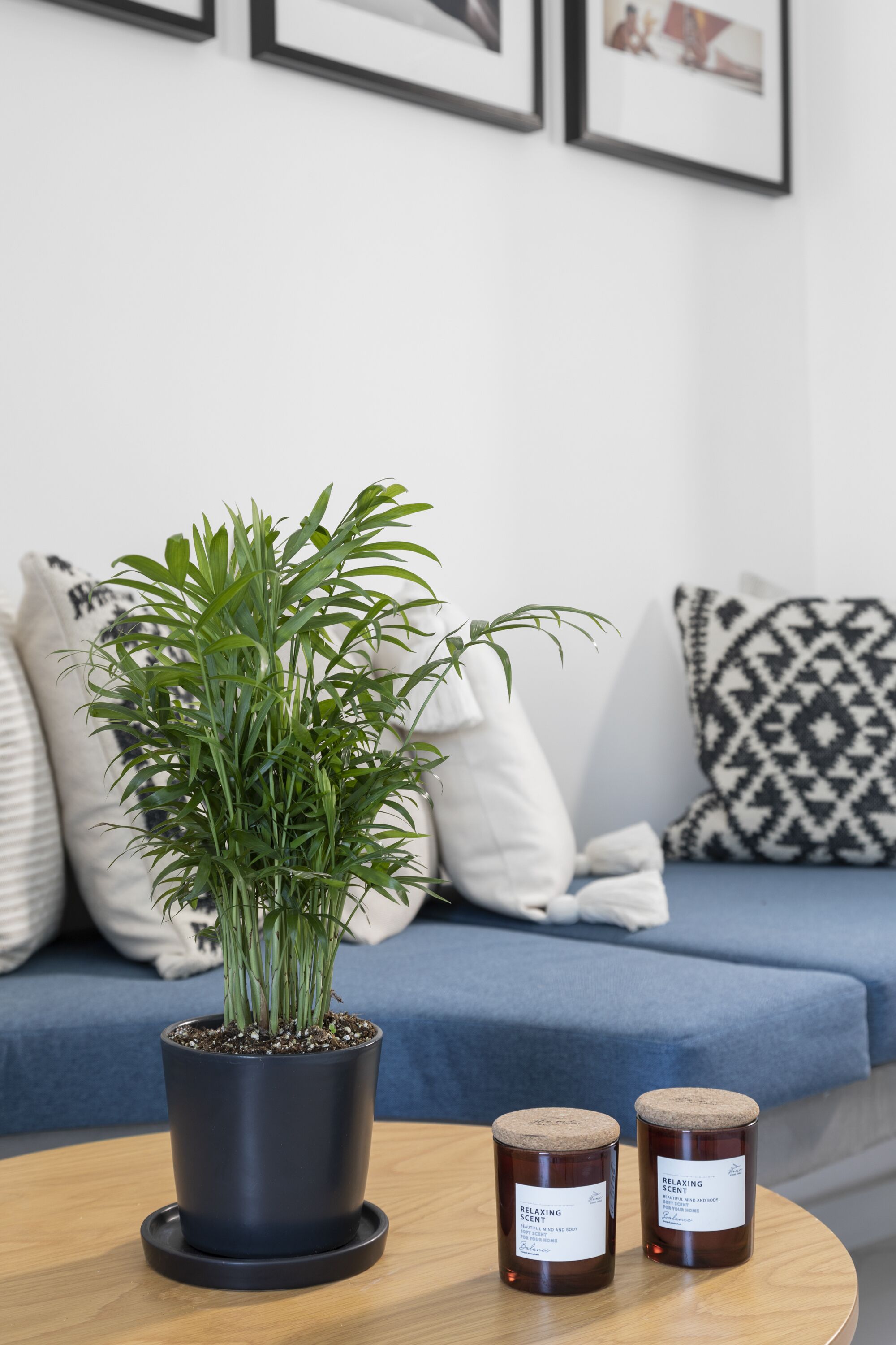 signature double room, hot tub | living area | 40-inch smart tv with digital channels, tv, netflix