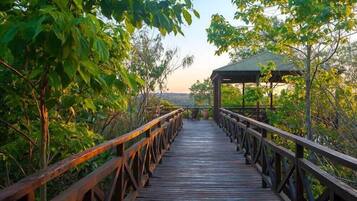 A wooden boardwalk leading to a covered pavilion surrounded by lush greenery.