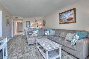 电视、DVD 播放器