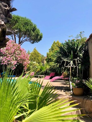 Property grounds - The Mazet de l'amandari (Le Plan-de-la-Tour)