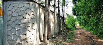 Bungalow with lush garden on the highway