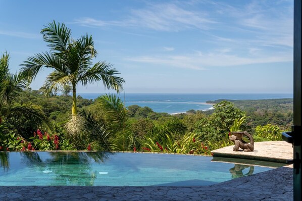 Unclassified image, 1 of 39, button