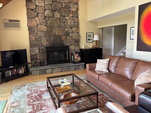 TV connectée, cheminée, livres, médiathèque