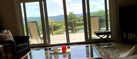 Smart TV, chimenea, libros, biblioteca de música