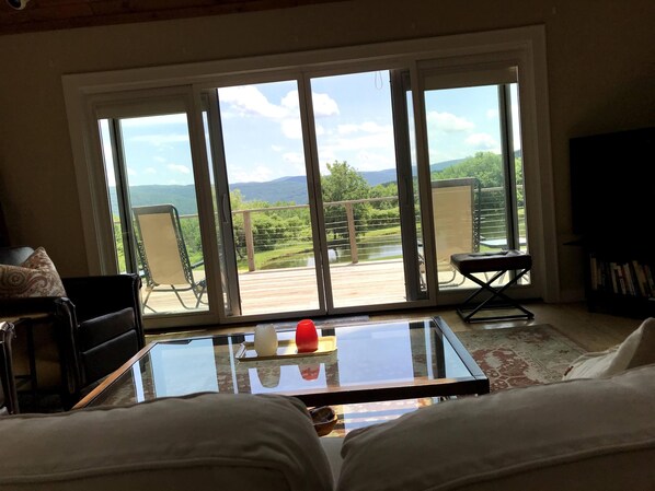 TV connectée, cheminée, livres, médiathèque