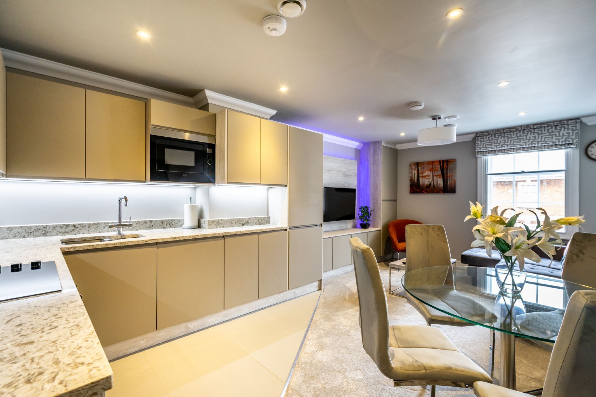 Réfrigérateur, micro-ondes, four, plaque de cuisson