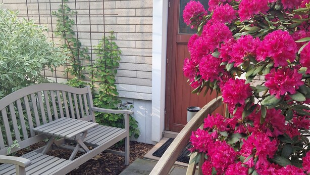 En träbänk och en krukväxt med rosa blommor framför en tegelvägg.