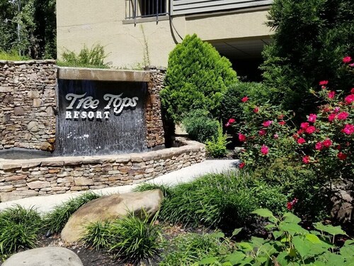 Treetops Resort-Gatlinburg. On Roaring Fork Stream 2BD/2BA Condo SUNDAY Check In