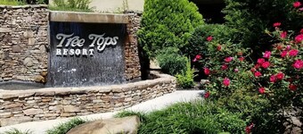 Treetops Resort-Gatlinburg. On Roaring Fork Stream 2BD/2BA Condo SUNDAY Check In