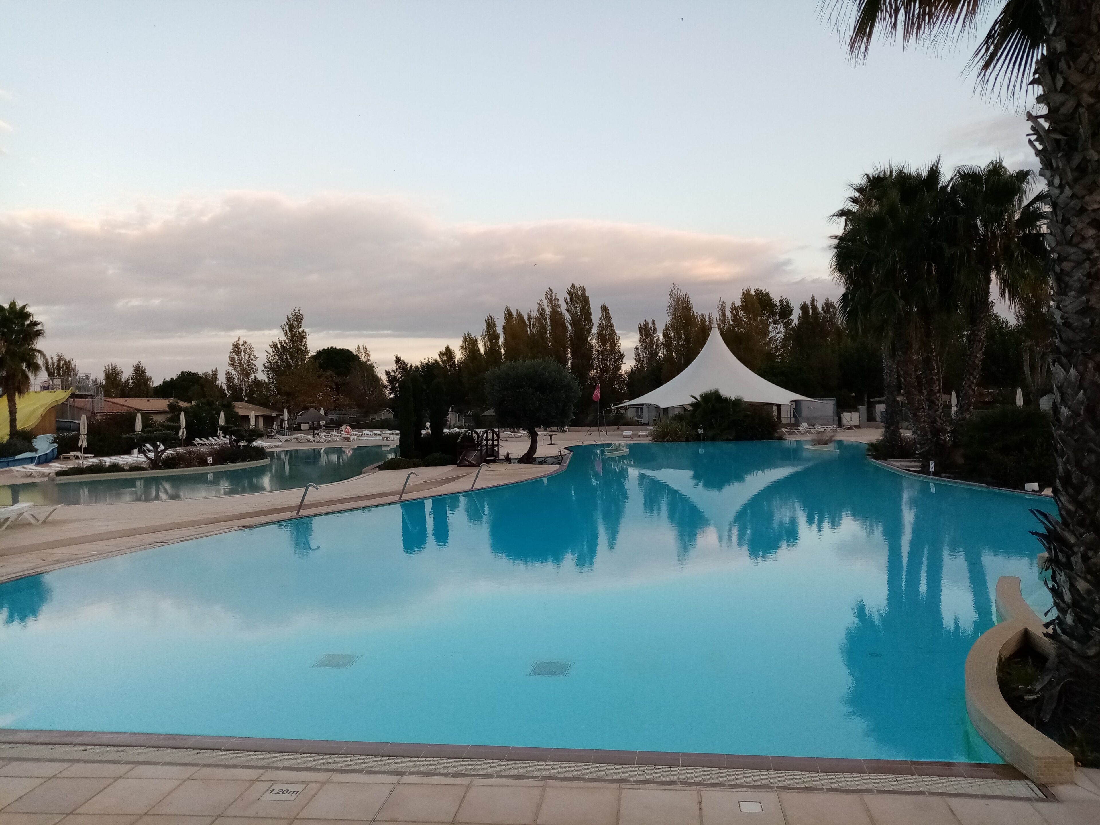 Uma piscina grande com água cristalina, cercada por palmeiras e espreguiçadeiras.