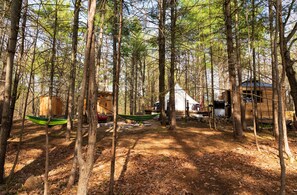 A forested campsite with a hammock, a small cabin, and a tent.