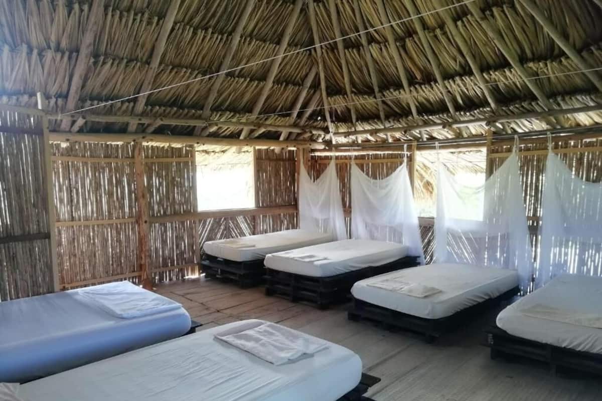 Iron/ironing board (on request), free WiFi, bed sheets