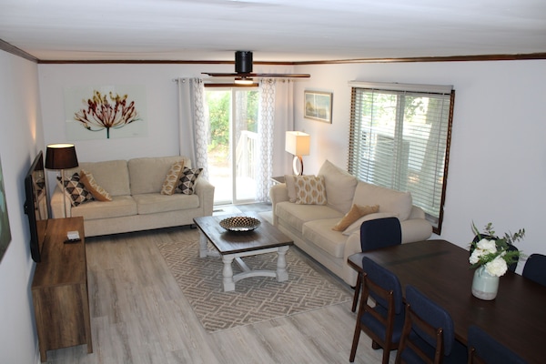 Family room with sleeping sofa