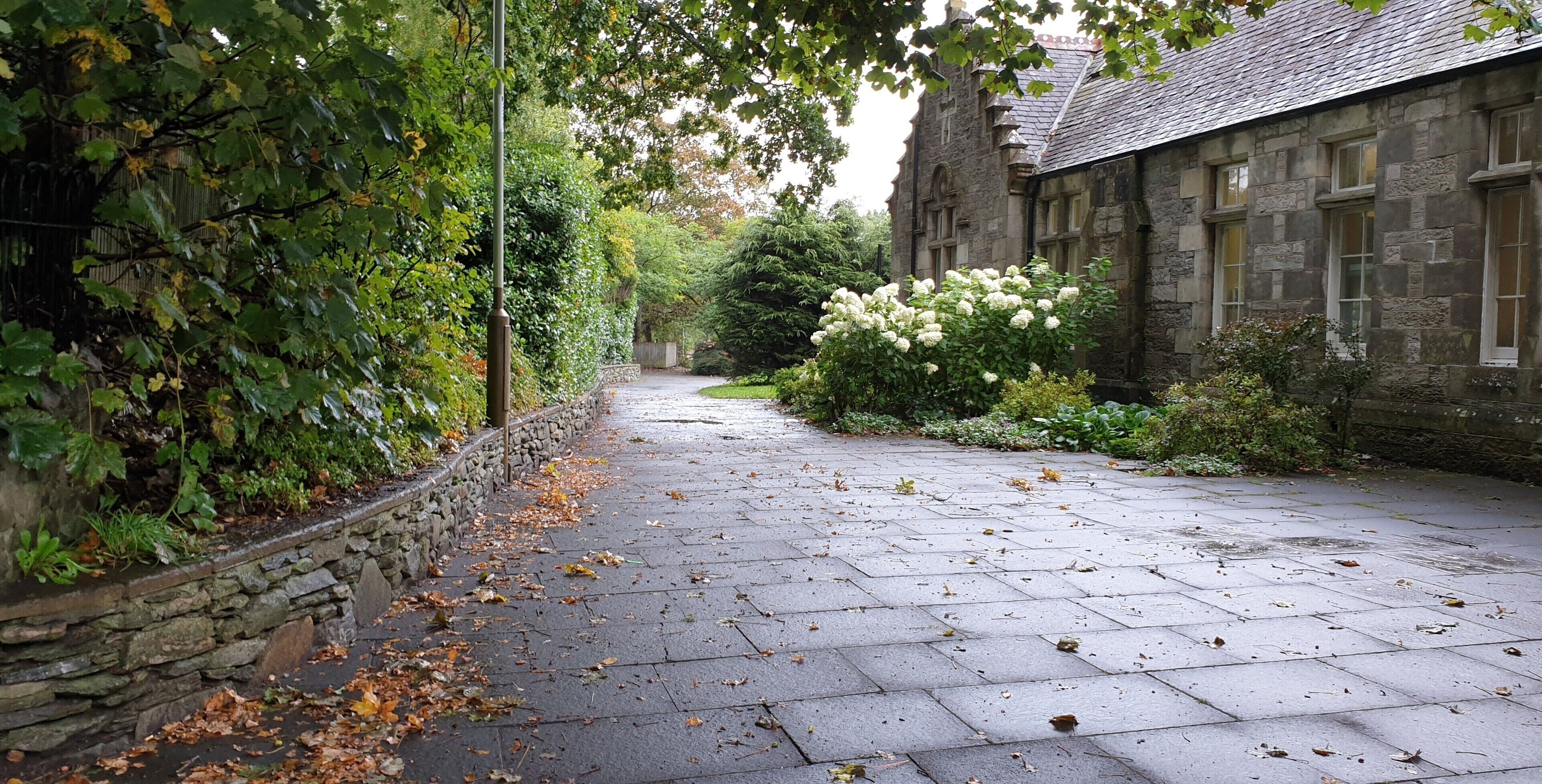 Apartment, Multiple Beds | Property grounds