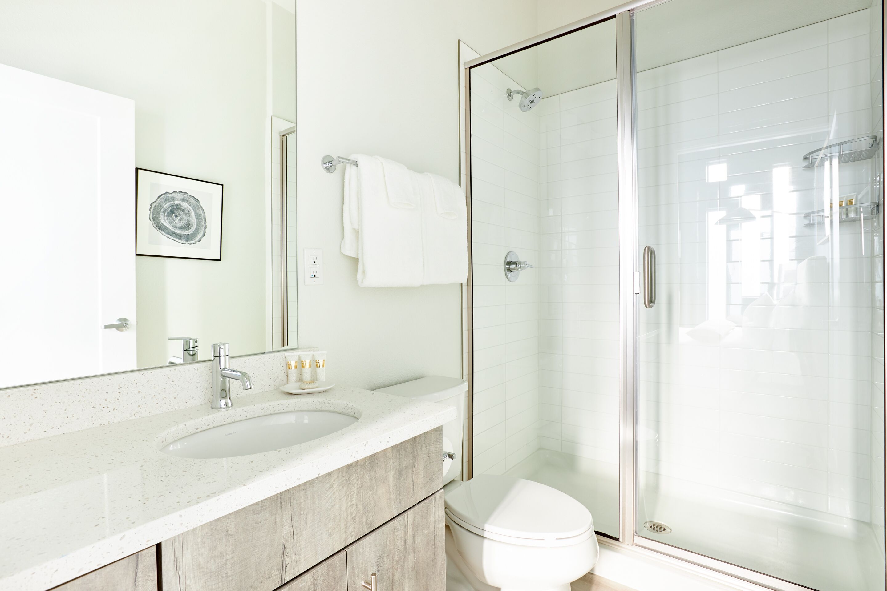 Sonder Zuni | Studio Apartment