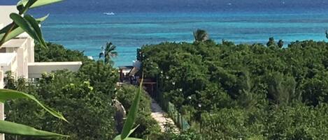 A coastal view with a pathway leading to a beach, surrounded by dense greenery and a clear blue ocean.