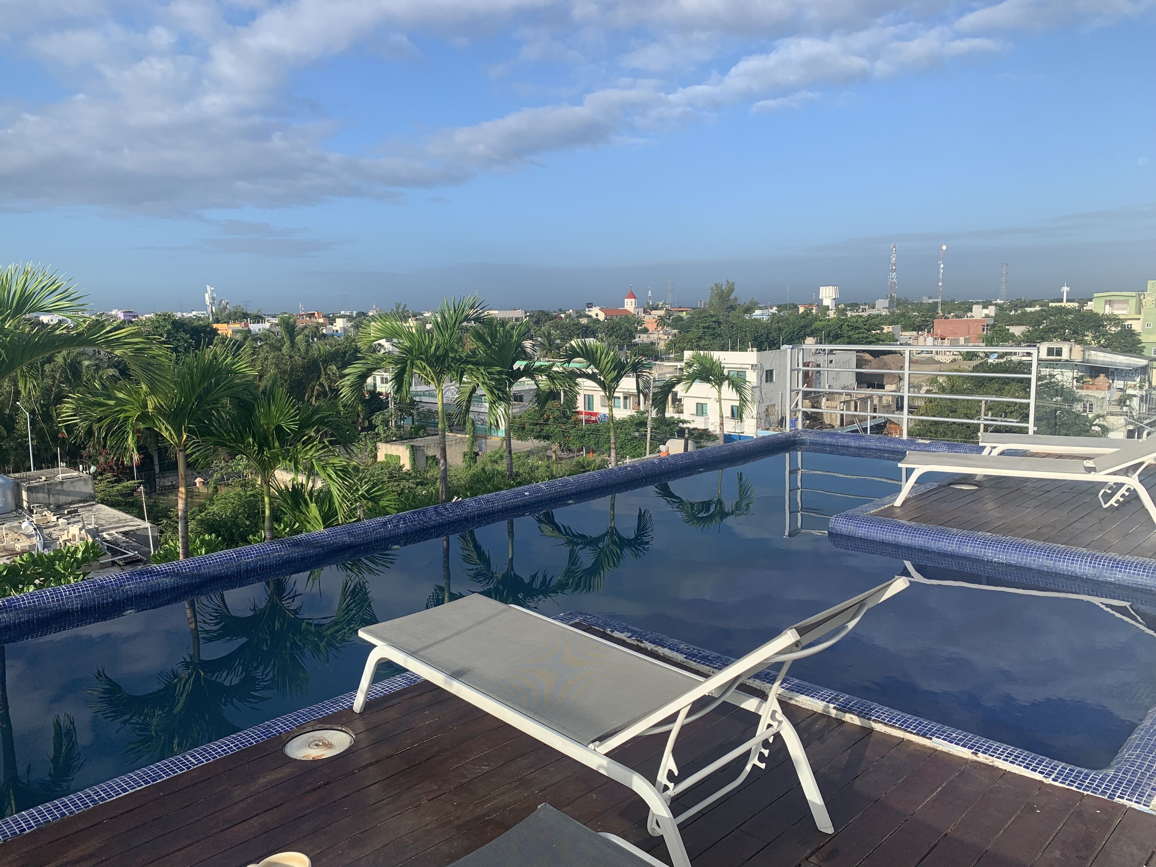 A rooftop infinity pool with a wooden deck and lounge chairs, surrounded by palm trees and buildings in the background.