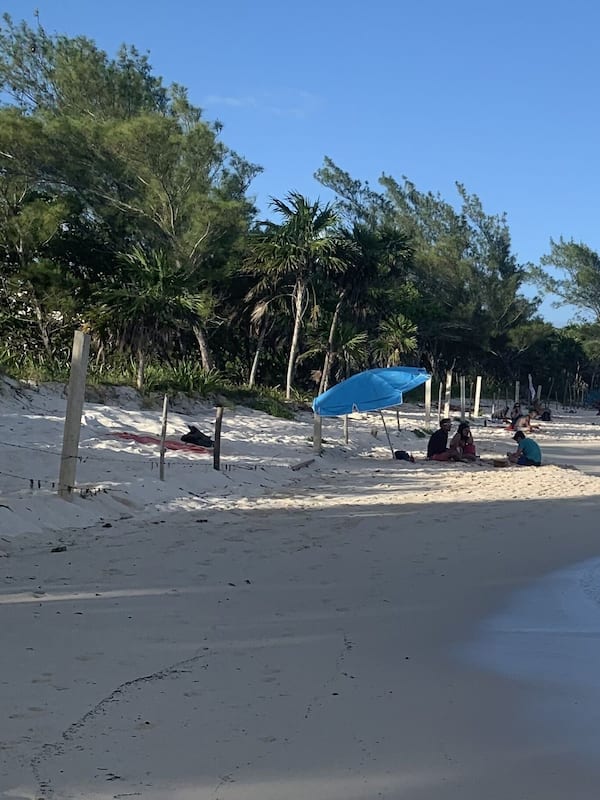 Plage à proximité, sable blanc