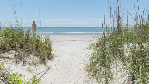 A sandy beach path leading to the ocean with sparse vegetation on either side. - Immaculate two bedroom, two bath oceanview condo located in the heart of North Myrtle Beach!! (North Myrtle Beach)