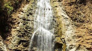 Una cascada se precipita desde un acantilado rocoso hacia una poza de agua, rodeada de árboles y vegetación.