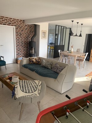 Televisión, chimenea, videojuegos y reproductor de DVD 