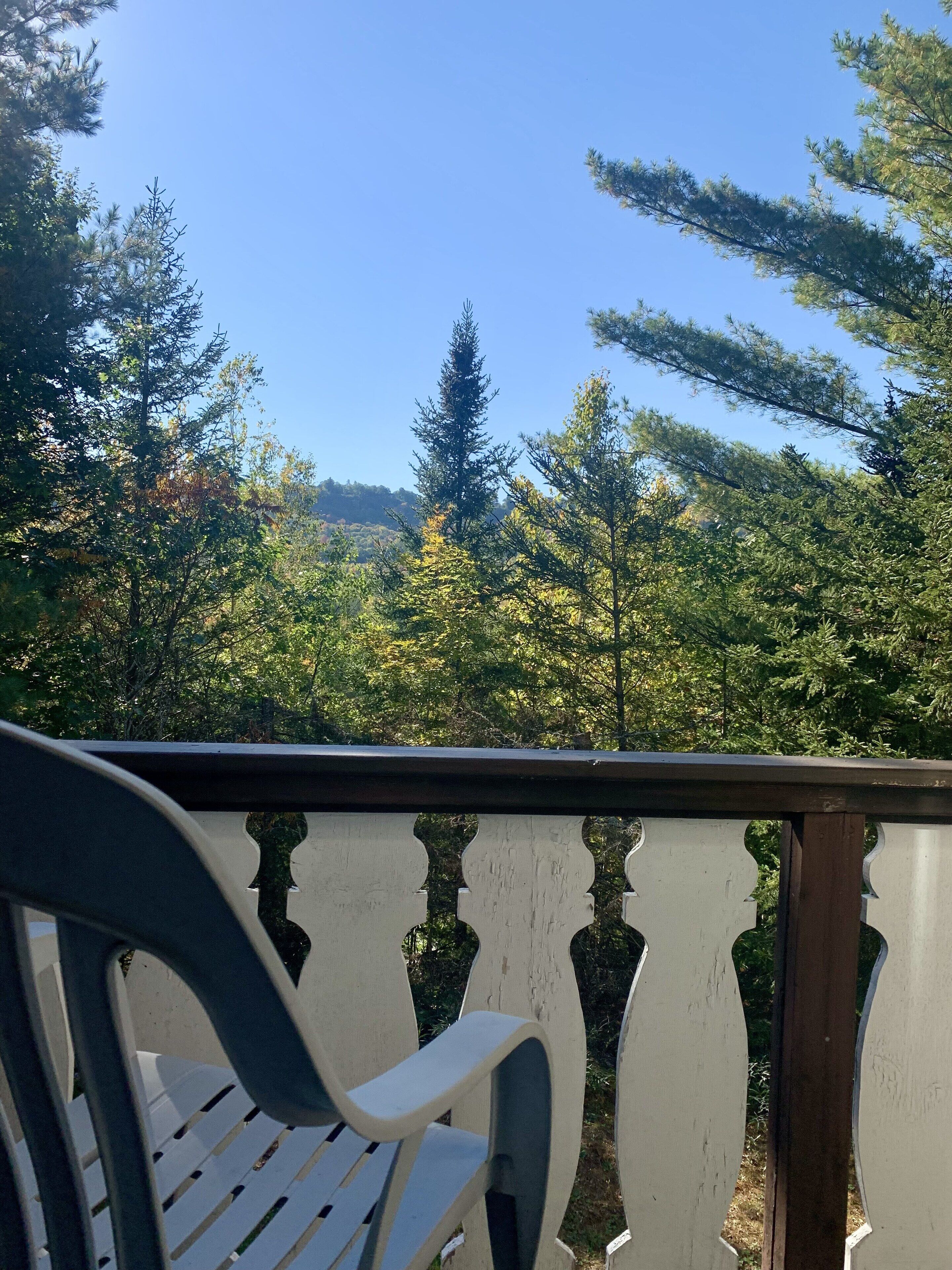 Cozy Chalet - Winter fun awaits! Close to Skiing, hiking, shopping & more.   