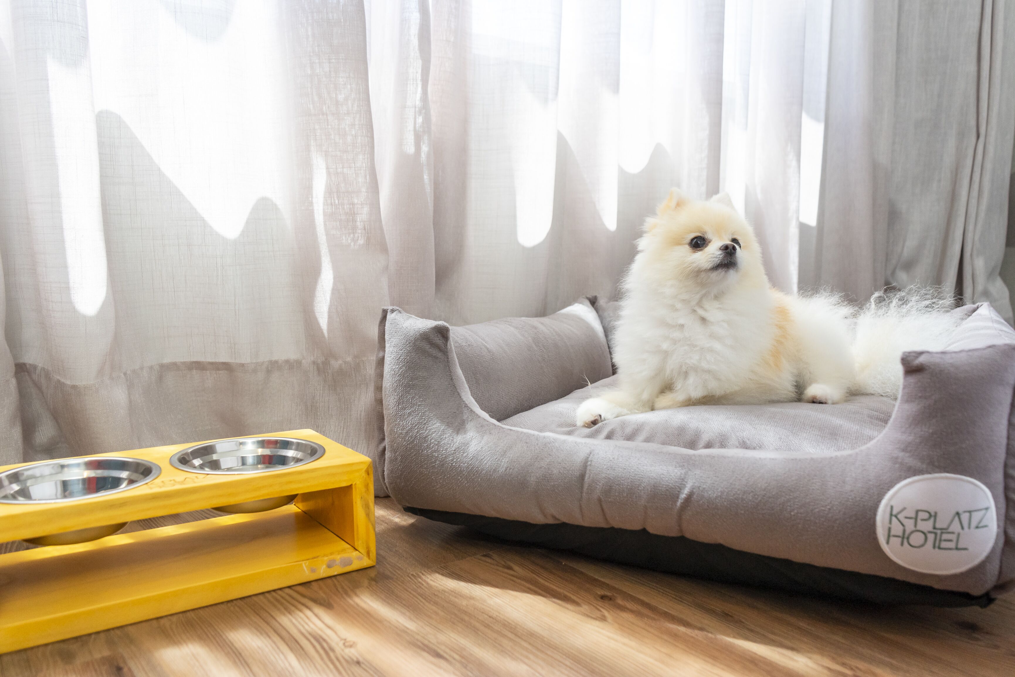 pet-friendly amenities