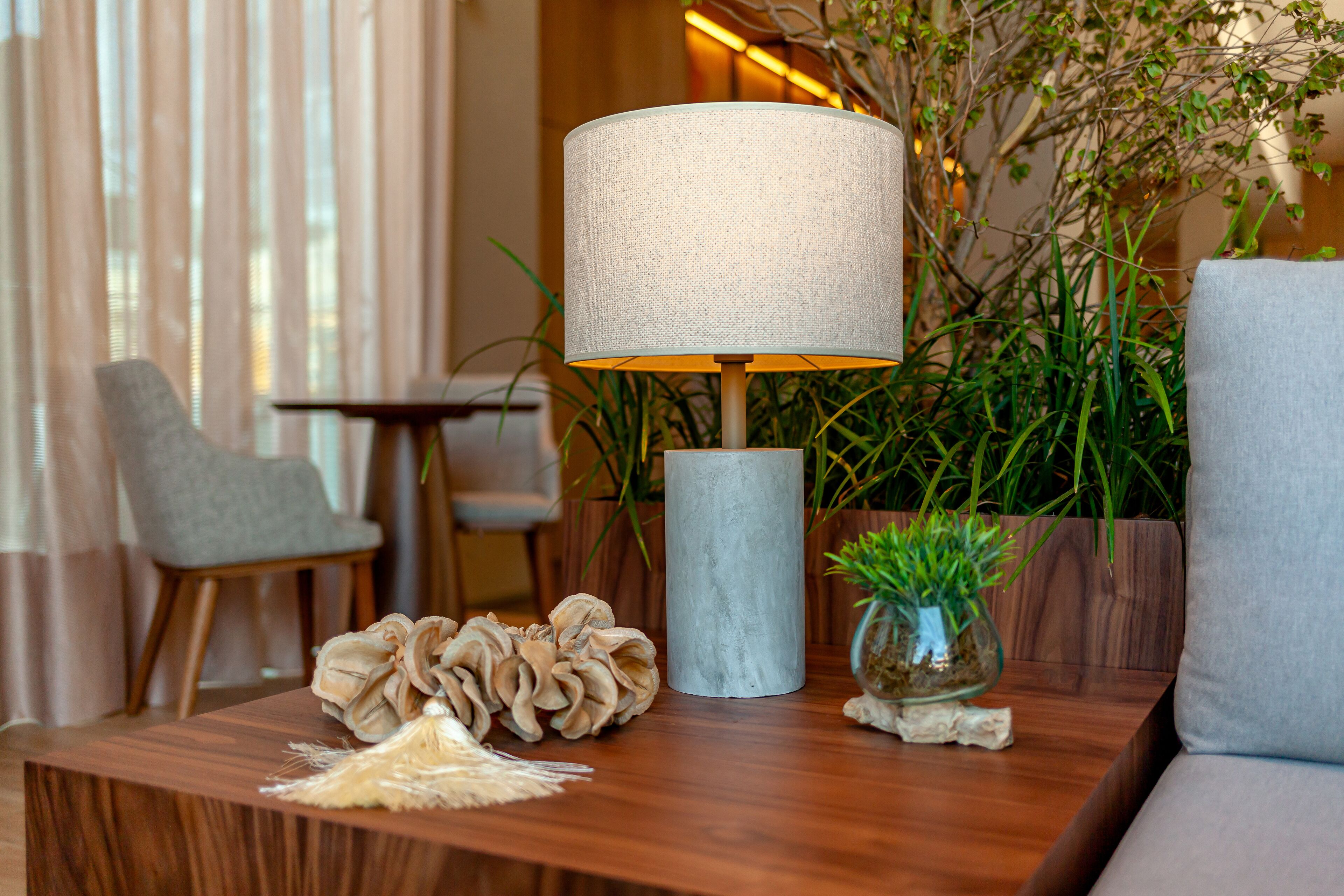 Un salon moderne avec une table basse en bois, une lampe, une plante en pot et un canapé gris.