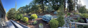 A landscaped garden with various shrubs and trees, a wooden deck, and a stone pathway. - Spacious Forest Home, 3 Bedrooms, Mountain Views, 5 Min. to Jacksonville, Pets! (Jacksonville)