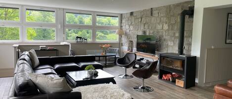 Smart TV, fireplace, foosball, books