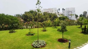 Ein gepflegter Garten mit verschiedenen Pflanzen und Bäumen, einem deutlichen Weg und modernen Gebäuden im Hintergrund.