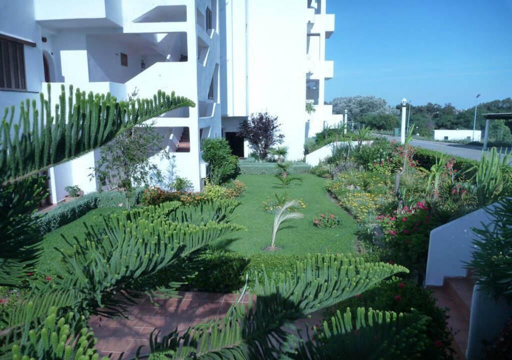 Une cour avec un jardin de cactus, des bâtiments blancs et un ciel dégagé.