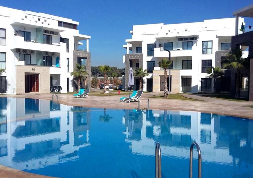 Une piscine entourée de bâtiments modernes dotés de balcons, de palmiers et de chaises longues.